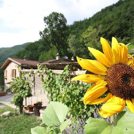 Agriturismo Ca Sonino Bettola  Exteriér fotografie