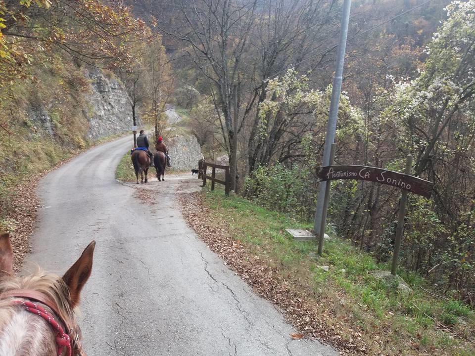 Agriturismo Ca Sonino Bettola  Exteriér fotografie